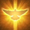 albin_joseph